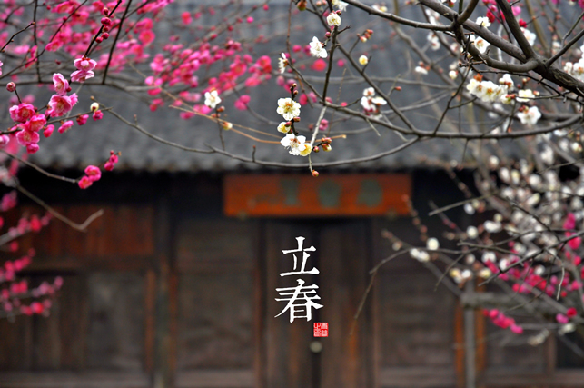 立春